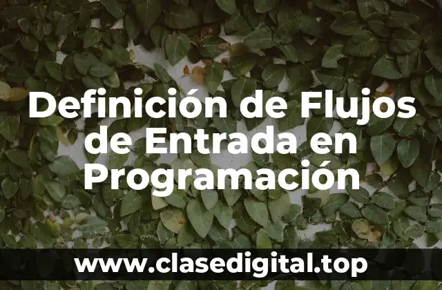 Definición de Flujos de Entrada en Programación