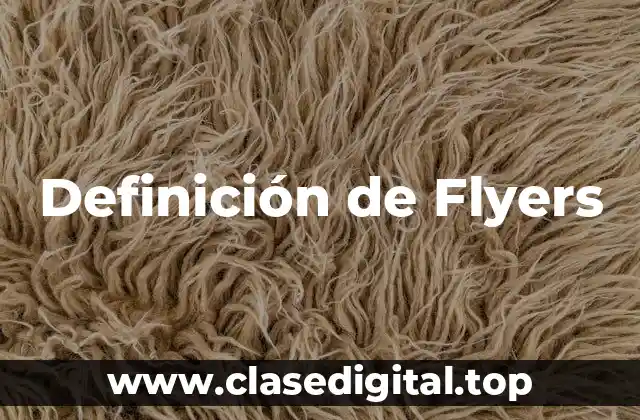 Definición de Flyers
