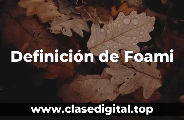 Definición de Foami