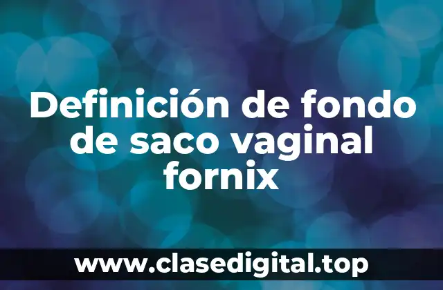 Definición de fondo de saco vaginal fornix