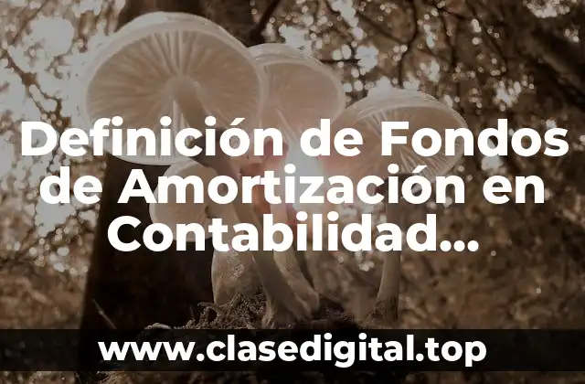 Definición de Fondos de Amortización en Contabilidad Financiera