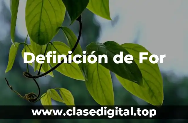 Definición de For