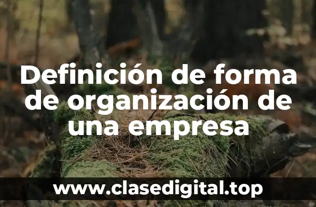Definición de forma de organización de una empresa