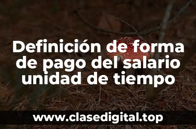 Definición de forma de pago del salario unidad de tiempo