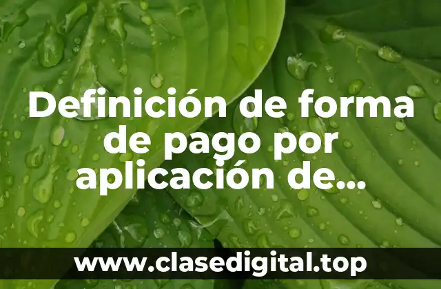 Definición técnica de forma de pago por aplicación de anticipos