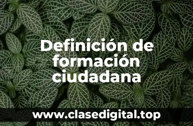 Ejemplos de formación ciudadana