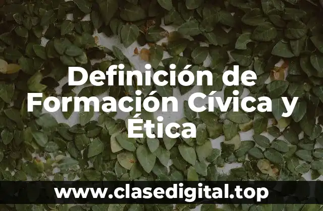 Ejemplos de Formación Cívica y Ética
