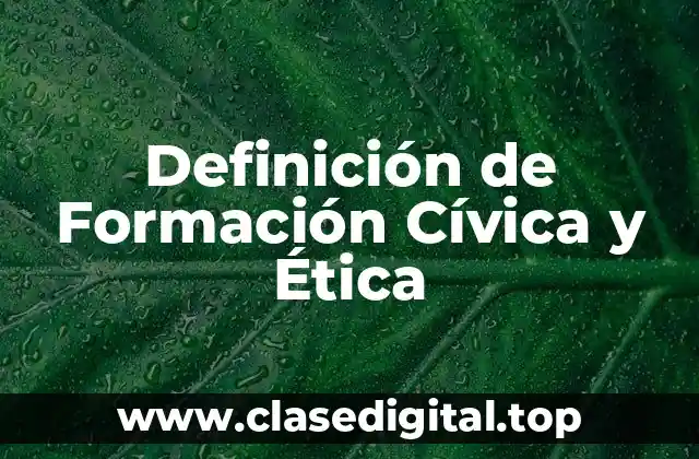 Definición Técnica de Formación Cívica y Ética