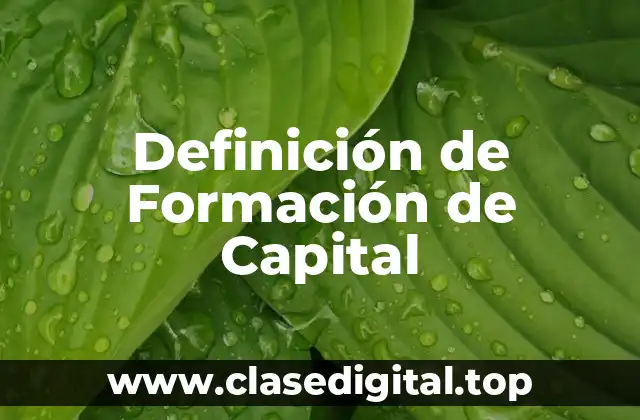 Definición de Formación de Capital