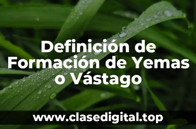 Definición de Formación de Yemas o Vástago