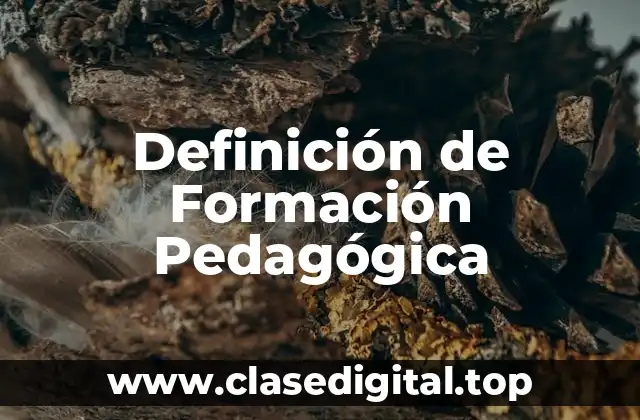 Definición de Formación Pedagógica