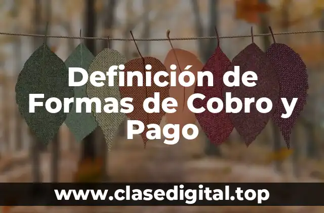 Definición de Formas de Cobro y Pago