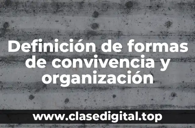 Definición de formas de convivencia y organización