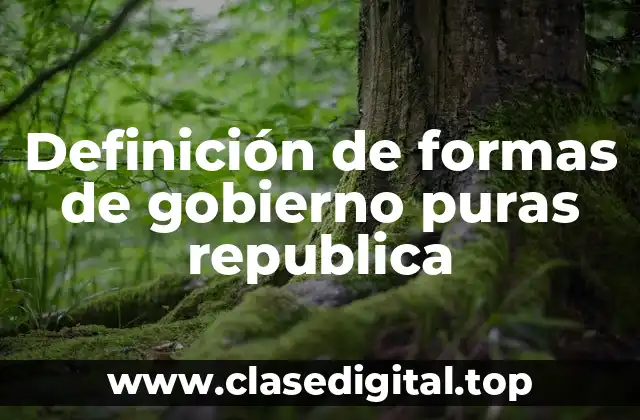 Definición de formas de gobierno puras republica