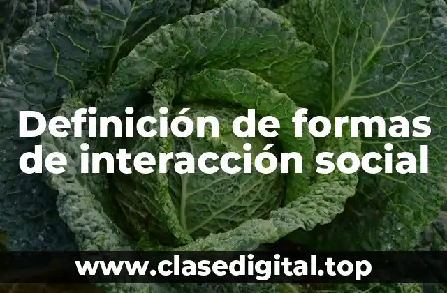 Definición de formas de interacción social