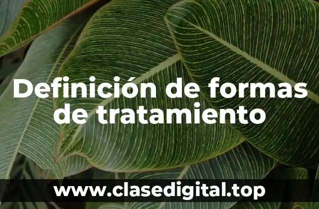 Definición de formas de tratamiento