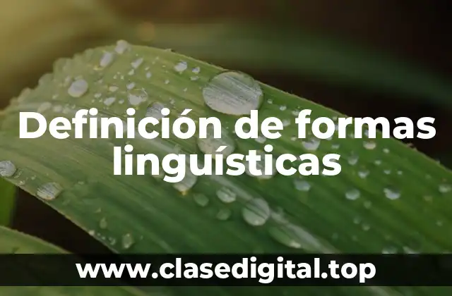 Ejemplos de formas linguísticas