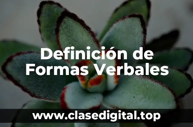 Definición de Formas Verbales