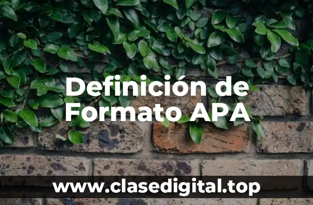 Definición de Formato APA