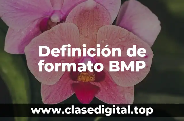 Definición de formato BMP