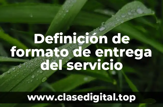 Definición de formato de entrega del servicio
