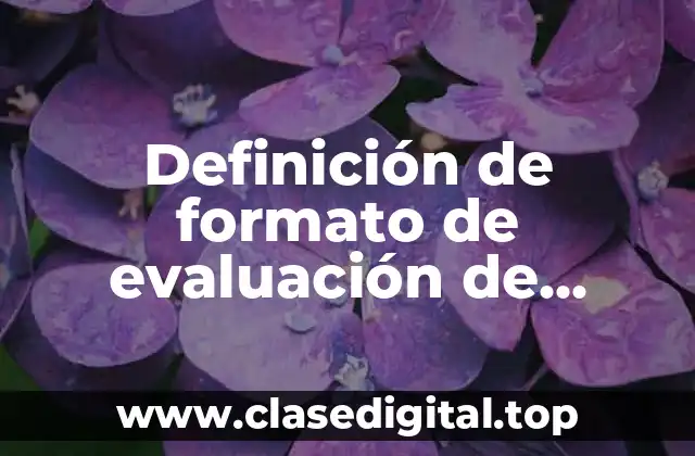 Definición de formato de evaluación de desempeño