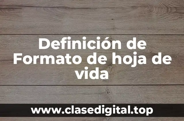 Ejemplos de formato de hoja de vida