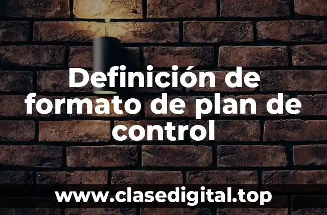 Ejemplos de formato de plan de control