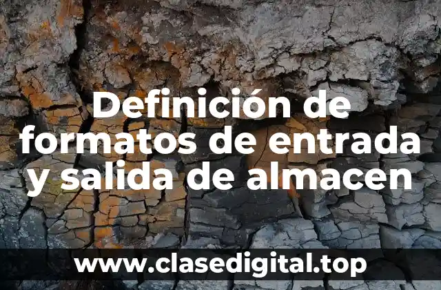 Definición de formatos de entrada y salida de almacen