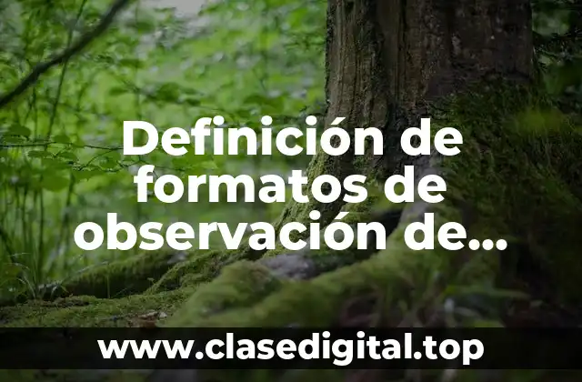 Definición de formatos de observación de clases e preescolar