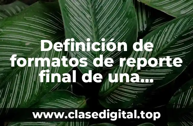 Definición de formatos de reporte final de una entrevista psicológica