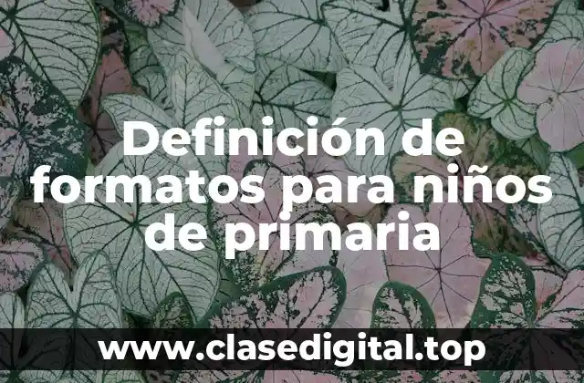 Ejemplos de formatos para niños de primaria