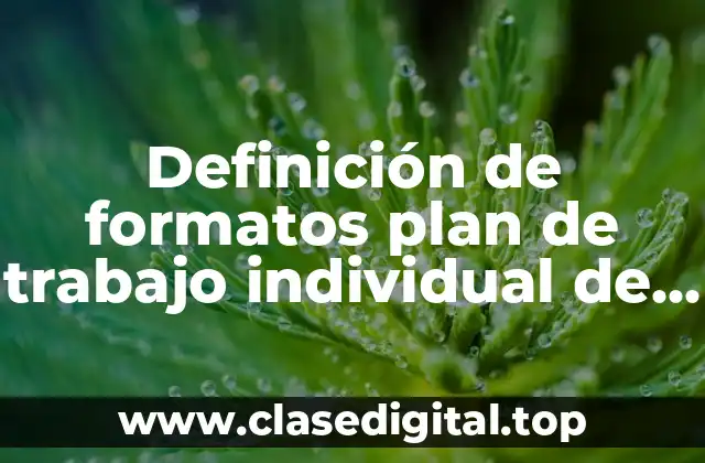 Definición de formatos plan de trabajo individual de una educadora