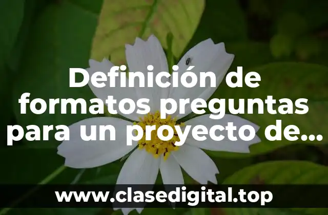 Definición de formatos preguntas para un proyecto de investigación