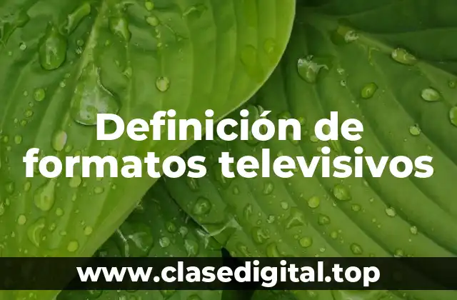 Definición de formatos televisivos