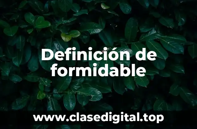 Definición técnica de formidable