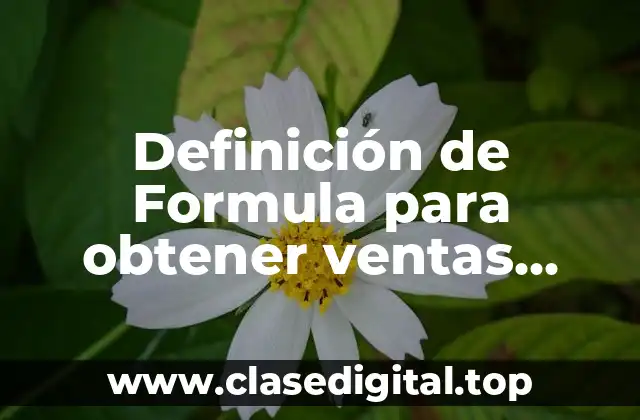 Definición de Formula para obtener ventas netas