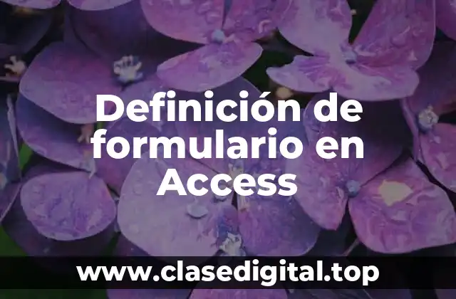 Definición técnica de formulario en Access