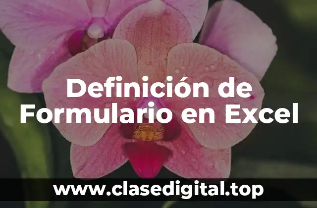 Definición de Formulario en Excel
