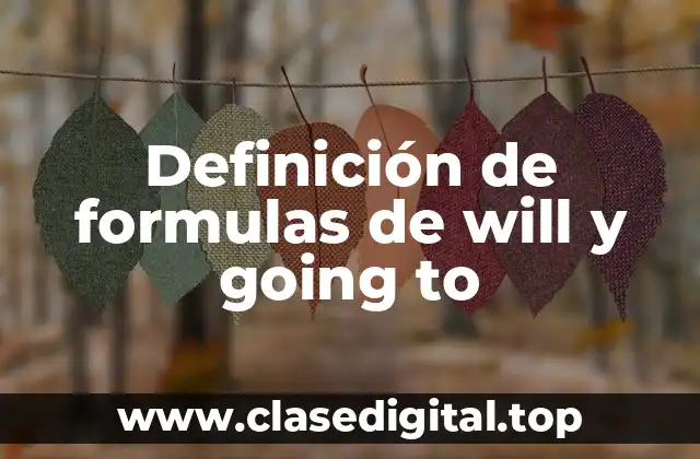 Definición de formulas de will y going to