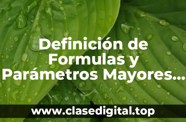 Definición de Formulas y Parámetros Mayores de 17 Años