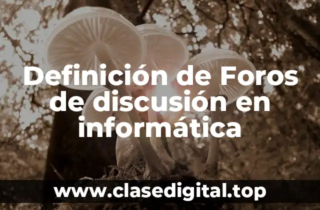 Definición de Foros de discusión en informática