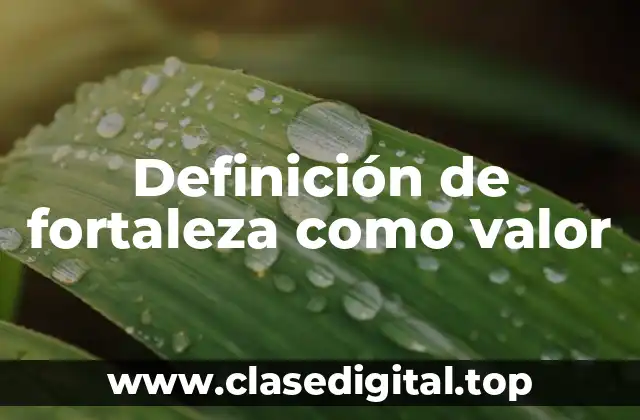 Definición de fortaleza como valor
