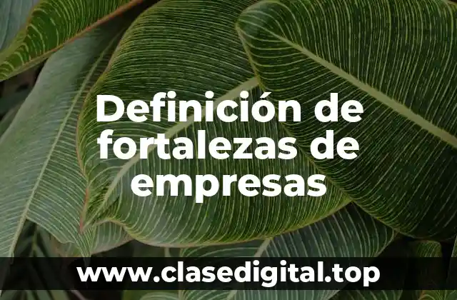 Definición de fortalezas de empresas