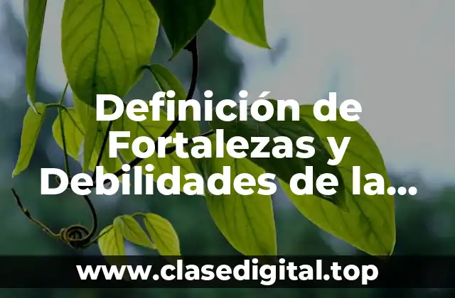Definición de Fortalezas y Debilidades de la Ficha Técnica
