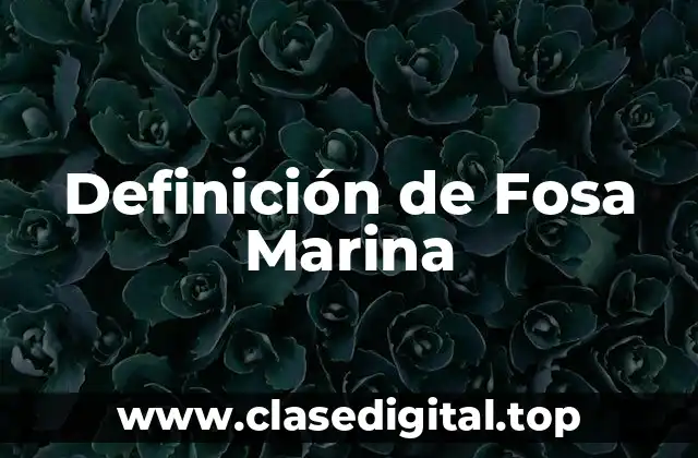 Definición de Fosa Marina