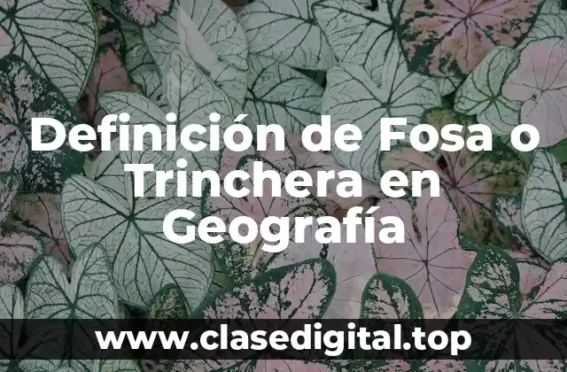 Definición de Fosa o Trinchera en Geografía
