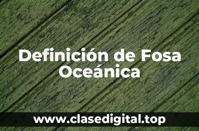Definición de Fosa Oceánica