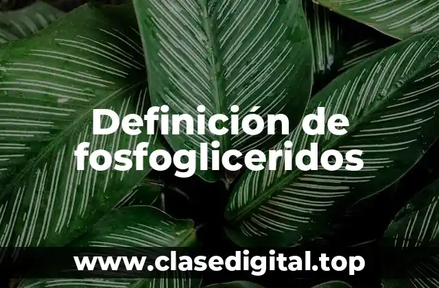Definición de fosfogliceridos