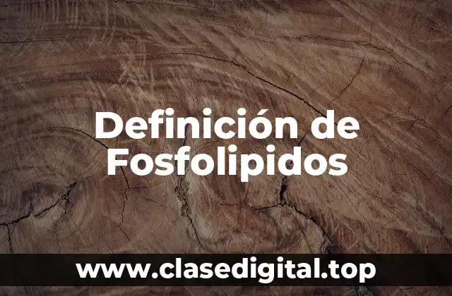 Definición de Fosfolipidos